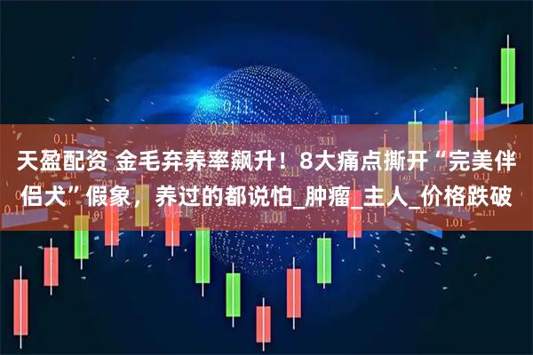 天盈配资 金毛弃养率飙升！8大痛点撕开“完美伴侣犬”假象，养过的都说怕_肿瘤_主人_价格跌破