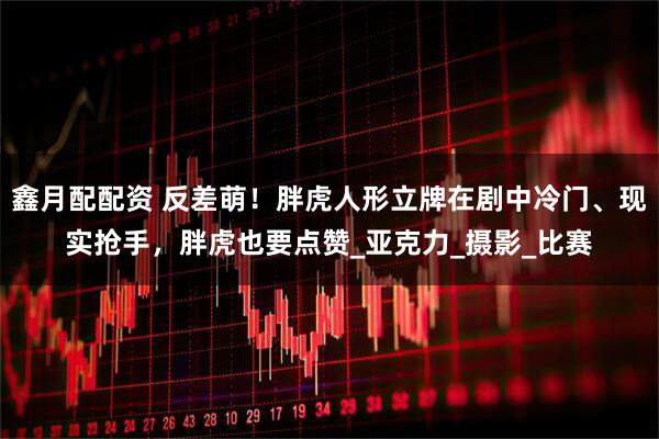 鑫月配配资 反差萌！胖虎人形立牌在剧中冷门、现实抢手，胖虎也要点赞_亚克力_摄影_比赛