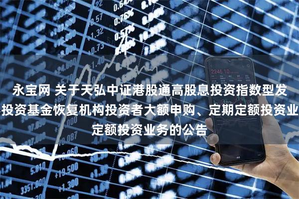 永宝网 关于天弘中证港股通高股息投资指数型发起式证券投资基金恢复机构投资者大额申购、定期定额投资业务的公告