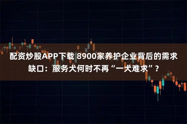配资炒股APP下载 8900家养护企业背后的需求缺口：服务犬何时不再“一犬难求”？